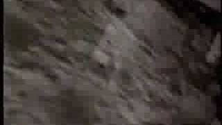 Follow In My Footsteps