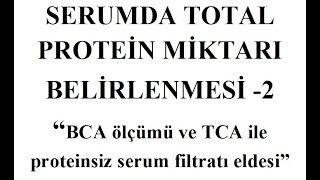 BCA ölçümü ve TCA ile proteinsiz serum filtratı eldesi