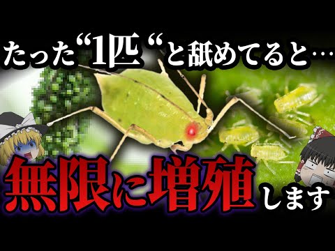 微胞子虫について詳しく解説