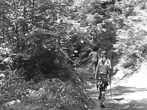 Margau 2012 excursia la padure