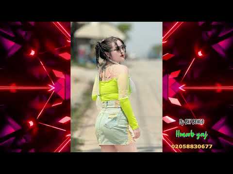 Tsis YOG Dog Dig  Coolaycoo X Huab Vwj [ Dj Remix  BKY BOKEO ] 2024