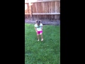 Adeline Hip Hop Hooray