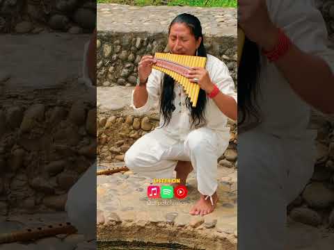 El Condor Pasa 🦅 - Полёт кондора | Cover by Atipak Christian - Pan Flute #andeanmusic #musicaandina