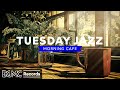 TUESDAY JAZZ Relaxing Bossa Nova Coffee Shop Jazz Music For Cozy Morning Ambience