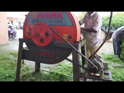 Amar 2 Blade Engine Model Chaff Cutter - With 5 Hp Diesel Engine