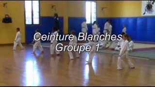 preview picture of video 'Ceinture Blanche groupe  1'