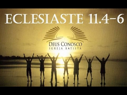 IBDC - Semear Sempre .