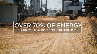 International Paper GR -  Biomass
