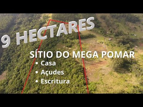 Vídeo