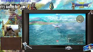 Eight stones, one bird? I think I’m doing this proverb backwards.