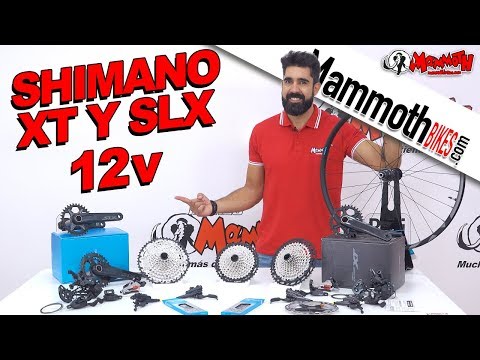 Shimano XT y SLX de 12 velocidades