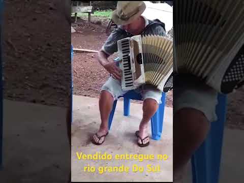 Bailão gaúcho