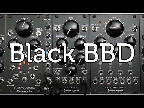Erica Synths Black BBD Analog Delay Eurorack Module image 2
