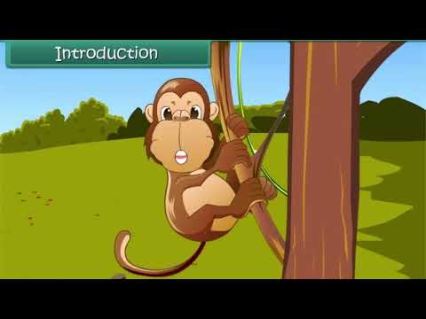 Let’s Learn Comparison 🌟✨ | Bigger, Smaller, Longer & Taller! 📏🔢 #kidslearning