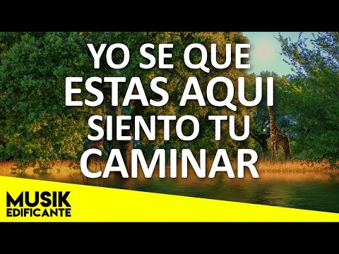 YO SE QUE ESTAS AQUI - MEZCLA DE ALABANZAS PODEROSAS QUE DAN FUERZAS NUEVAS AL CAIDO - MUSICA 2021