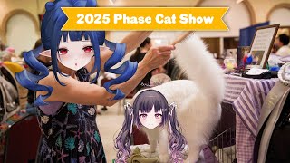 stream start - Phase Cat Show