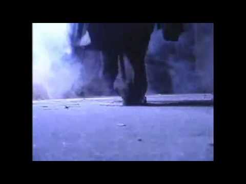 Wizard School by Andrew Mayne  - magictricks.co.uk