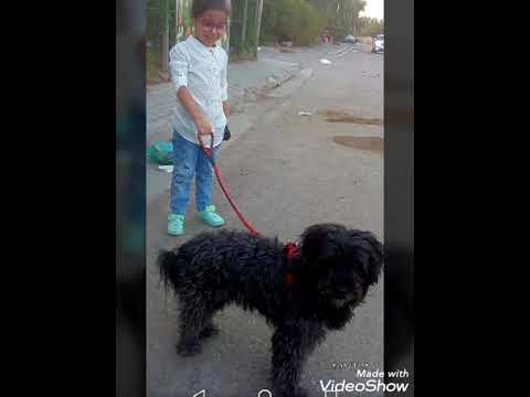 رقية تقبل الهدية من زلزال