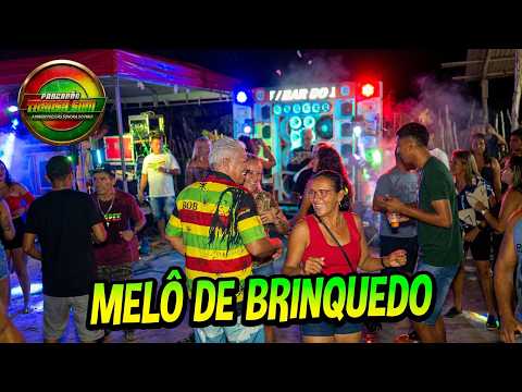 🧸 MELÔ DE BRINQUEDO ● TRANSA SOM EM BARREIRINHA-ARAIOSES (Major Lazer - Be Together)
