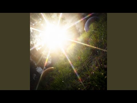 ковтунами світла