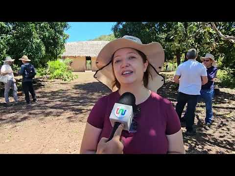 Projeto Ser Tão Sol leva energia solar para agricultura familiar em José de Freitas