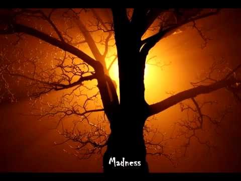 Madness (Original Song) - Christopher K. Lee