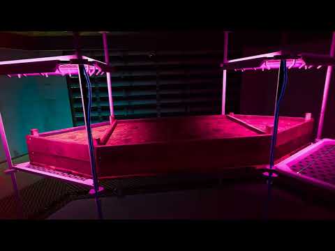 com oculus shellenv 20231118 210911