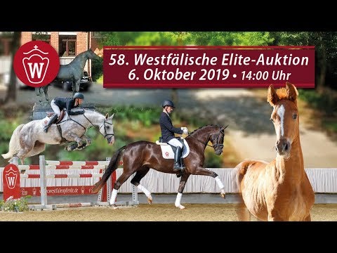 Trailer zur Elite-Auktion 6. Oktober 2019