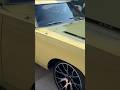 Plymouth Road Runner: Woodward Dream Cruise- Must See!