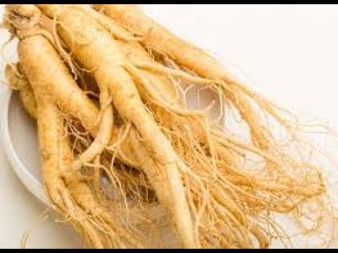 Jika penis kecil bagaimana untuk mendapatkan orgasme Dalam hal potensi manusia