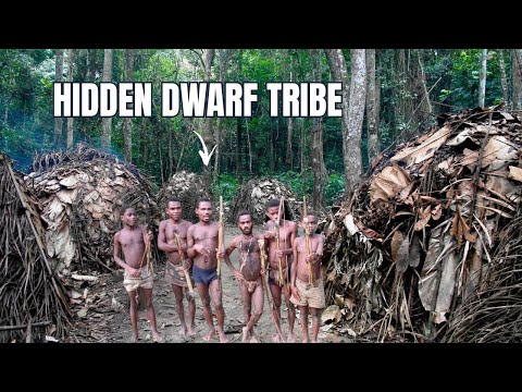 Uncovering the Pygmy Tribe of Congo: Mysteries of the African Rainforest / Mystery Tribes / Tribes