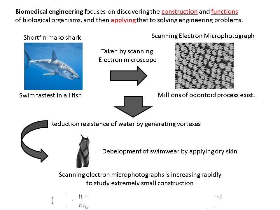 Biomedical Image Processing