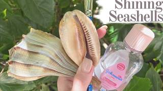 How to NATURALLY make your shells shine!