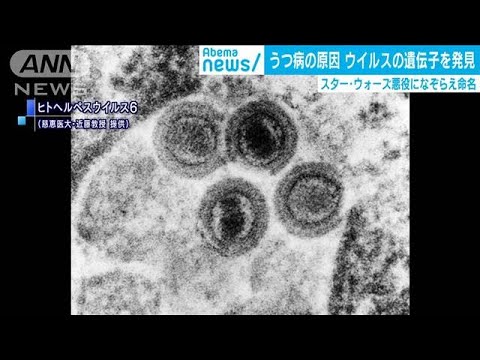 遺伝子が特定された遺伝性疾患のリスト - 定義