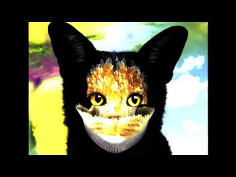 Galantis vs. AN21 & Sebjak - Everything You (Drewson Mashup)