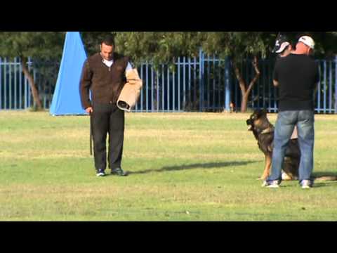 Asco IPO3 WUSV Quali 2012 Phase C score 88.MPG