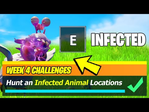 Hunt an Infected Animal WORKING Locations - Fortnite