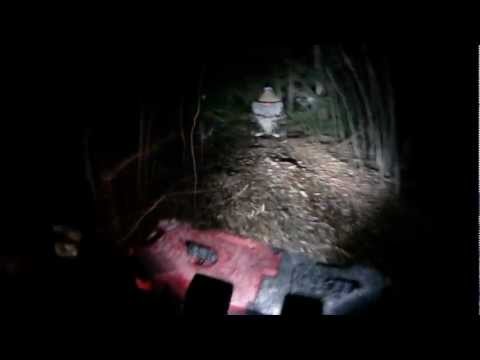 Rigid Industries Dually D2 LED Light Comparison