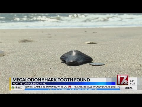 Raleigh girl finds megalodon tooth on beach in North Topsail
