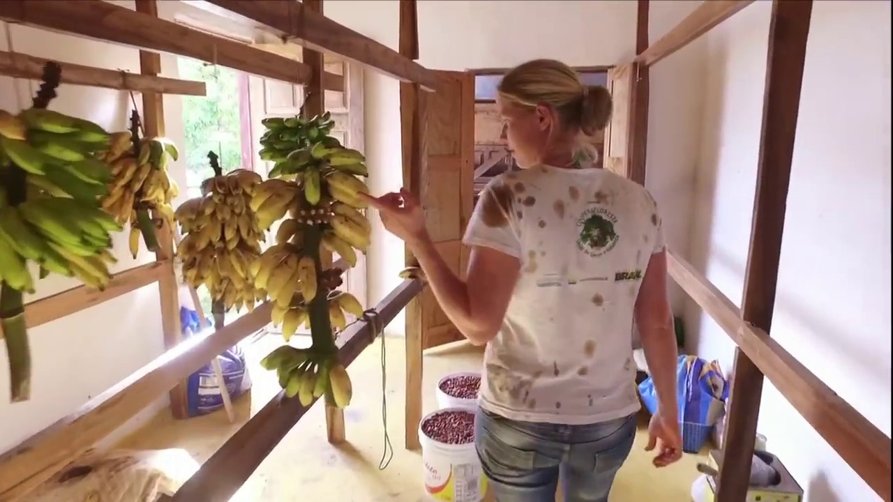 O que é Agricultura Sintrópica?| Bloco 2  | Globo Rural | Fazenda Ouro Fino