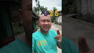 Download lagu Try the 2025 prediction effect mp3