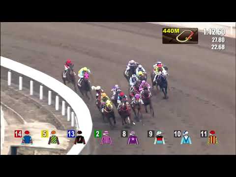 Diamond Friends - Karis Teetan (23 december)