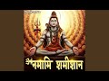 Rudrashtakam Lofi Namami Shamishan Nirvan Roopam