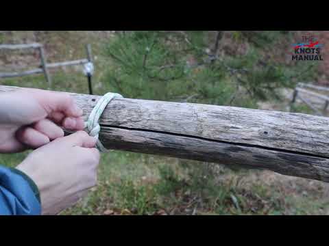 Top 13 Arborist Knots Every Tree Climber Should Know