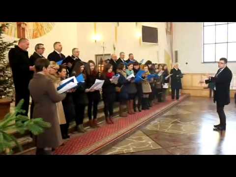Kolędy w wykonaniu Chóru Parafialnego z Bucza - Borek, 26.12.2012 - cz.1