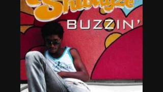 Shwayze- Buzzin'