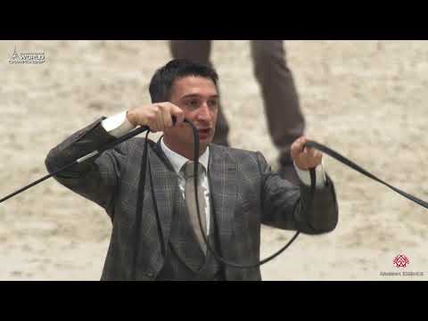 N 106 D NAYEL   Paris 2019   Yearling Colts Class 4B