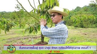 ขั้นตอนการฟื้นฟู ดูแลต้นทุเรียน #ฟื้นฟูต้นทุเรียน #ทำทุเรียนคุณภาพ #เรียนรู้ทุเรียน #ปุ๋ยทีจีเอ็ม
