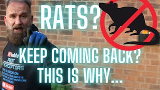 RAT FREE LIFETIME GUARANTEE!!! Get rid of rats forever...GUARANTEED!!!