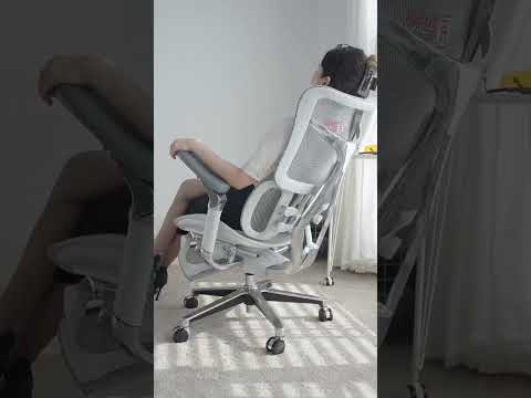 Ghế công thái học Sihoo cao cấp C300/S300